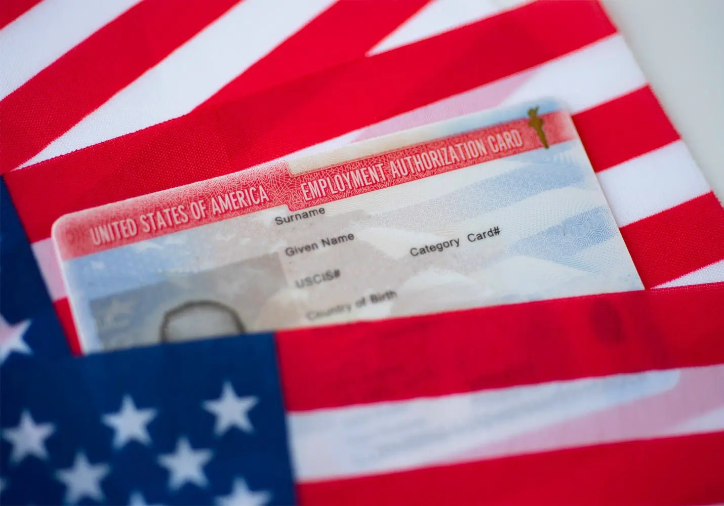 WhatsApp Image 2025-11-26 at 10.17.20